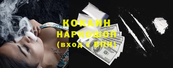 индика Протвино