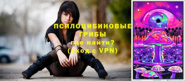 хмурый Абаза