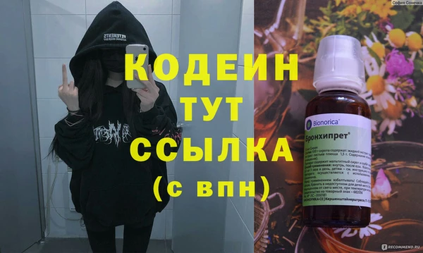 хмурый Абаза