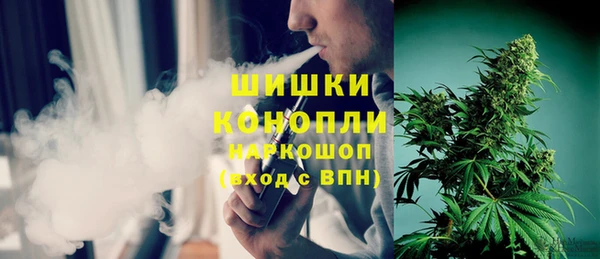 хмурый Абаза