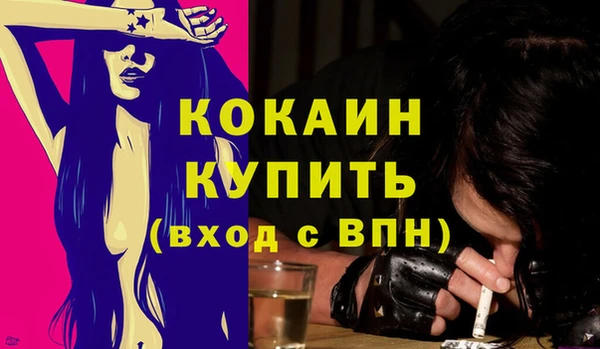 индика Протвино